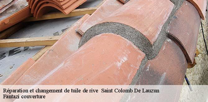 reparation-et-changement-de-tuile-de-rive