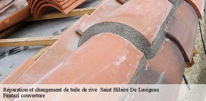 reparation-et-changement-de-tuile-de-rive